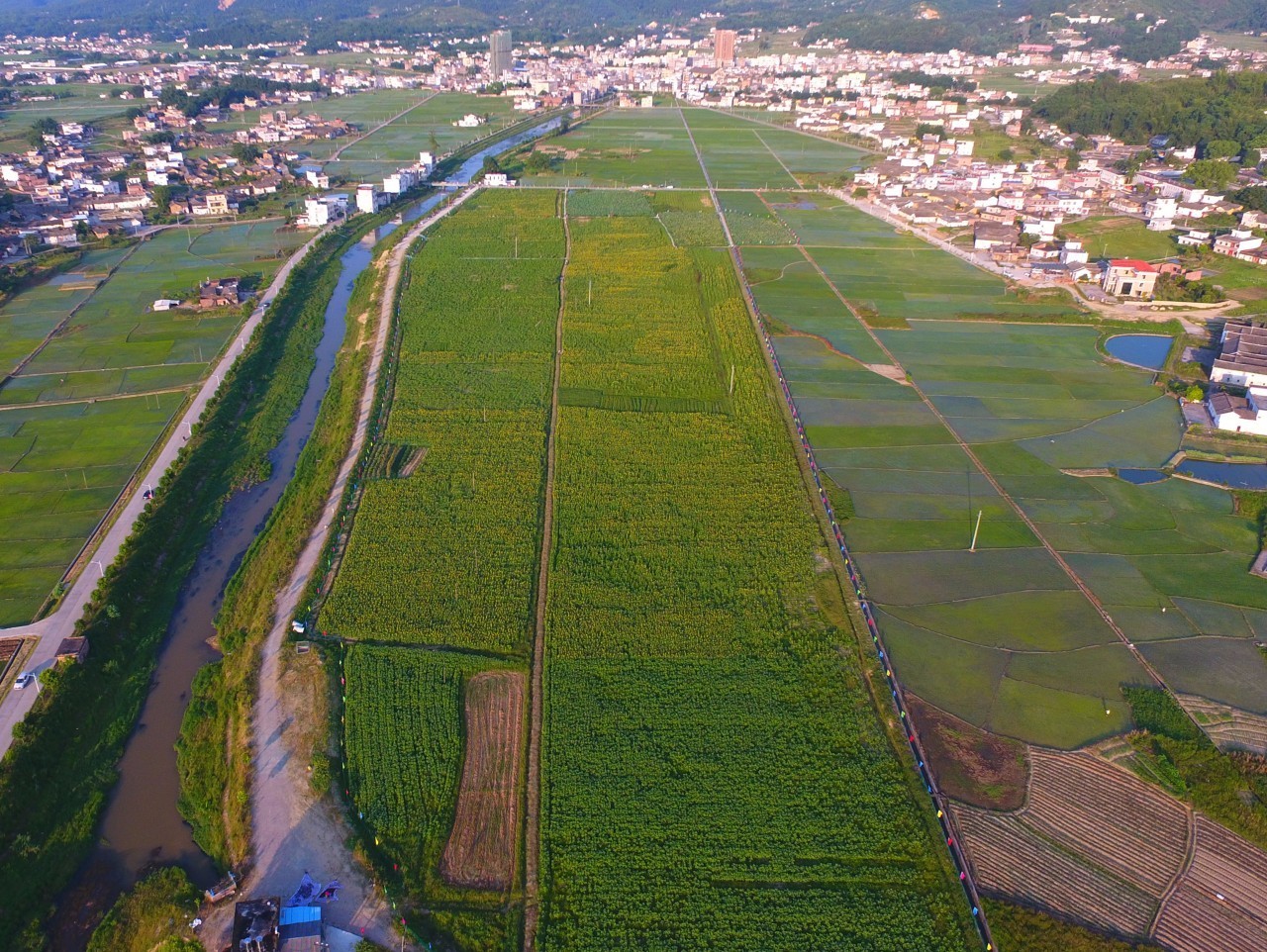 鹤市镇人口_人口普查图片