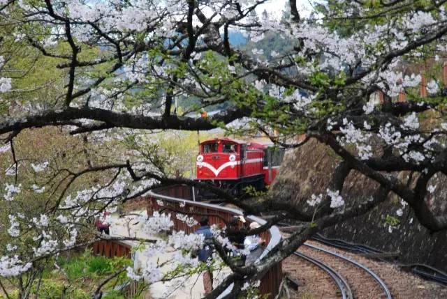 旅行｜​全球美嘉体育平台绝无仅有的9条最美火车路线还不约起来？(图27)