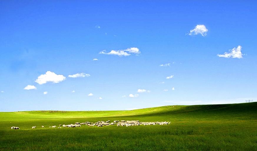 【芈月传取景地】这片草原的夏天只有18℃!随手拍都是