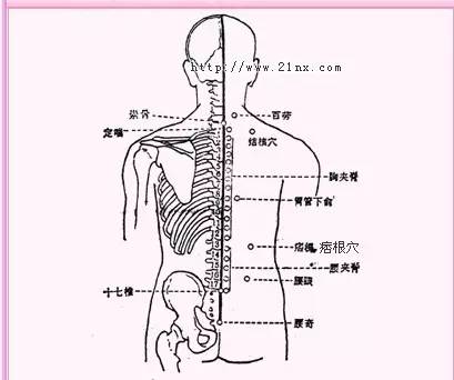 疝痛,腰痛,肠炎,咳逆,胃痉挛,胃炎,胃扩张,肝炎,肝脾肿大,腰肌劳损,肾