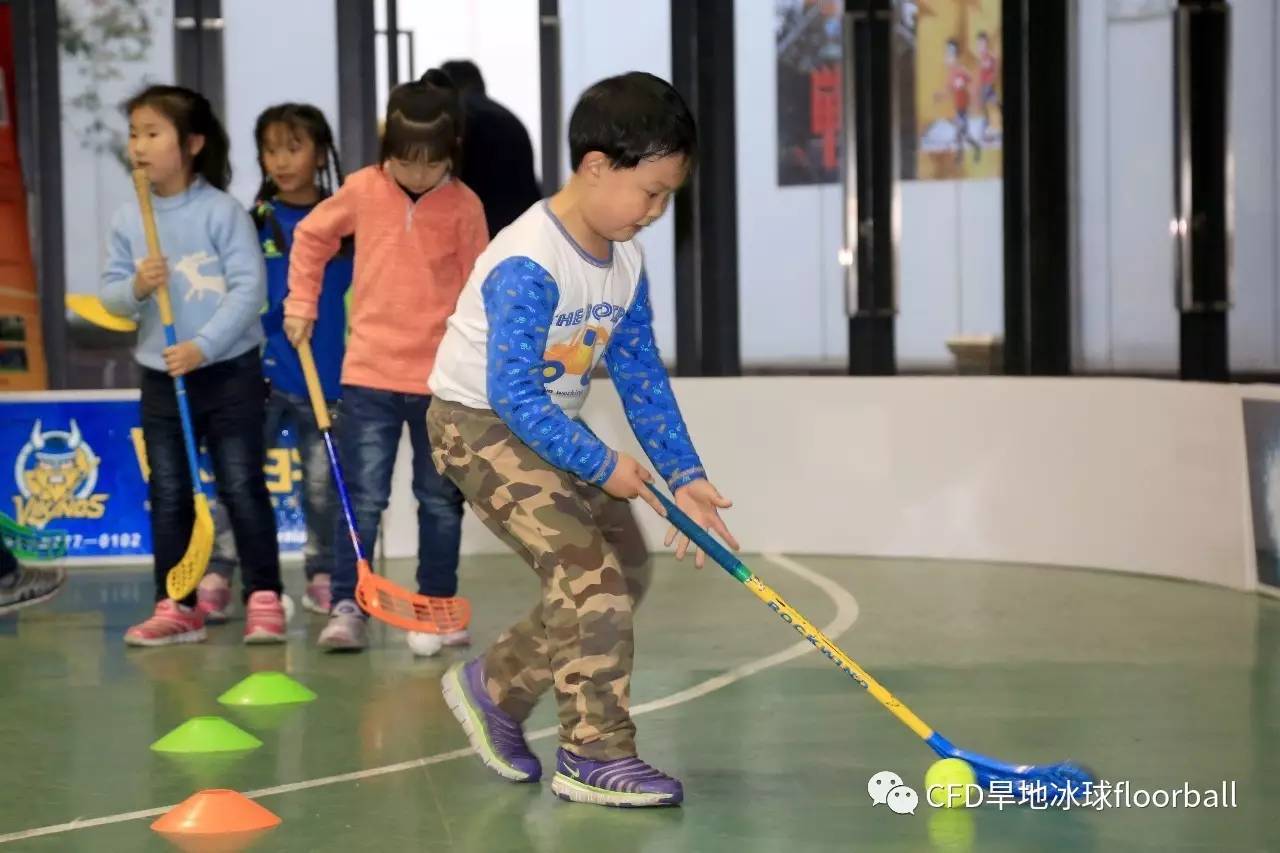 招募| 上海市青少年旱地冰球公益培训