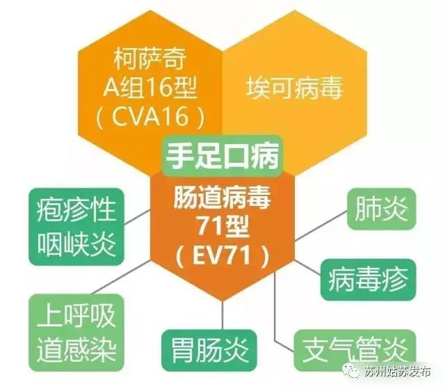 >>接种ev71手足口病疫苗的最佳年龄?