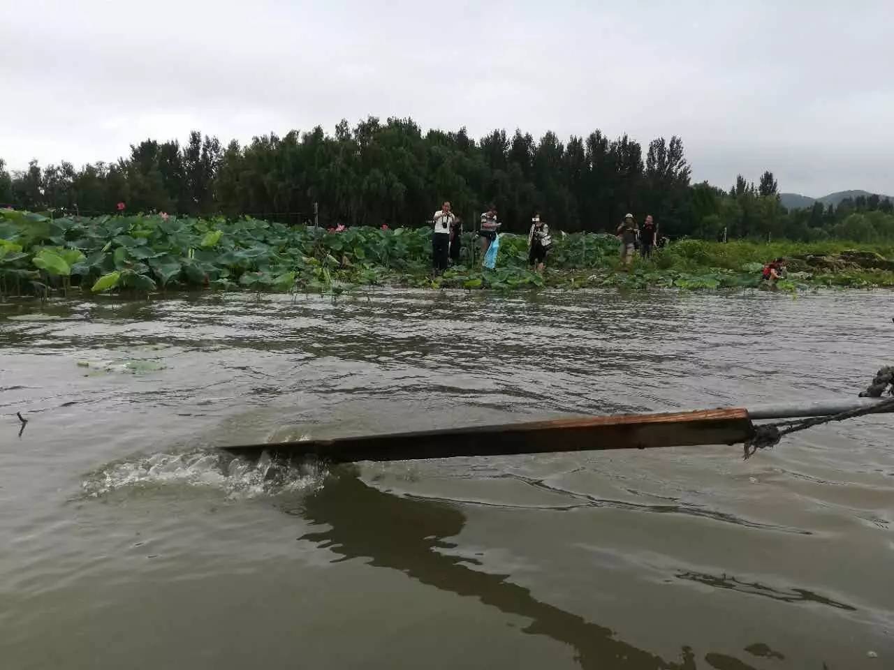 【即时播报】弄舟荷塘撷秀影 镜头"戏水"梨木台 新摄影晴雨一日行摄