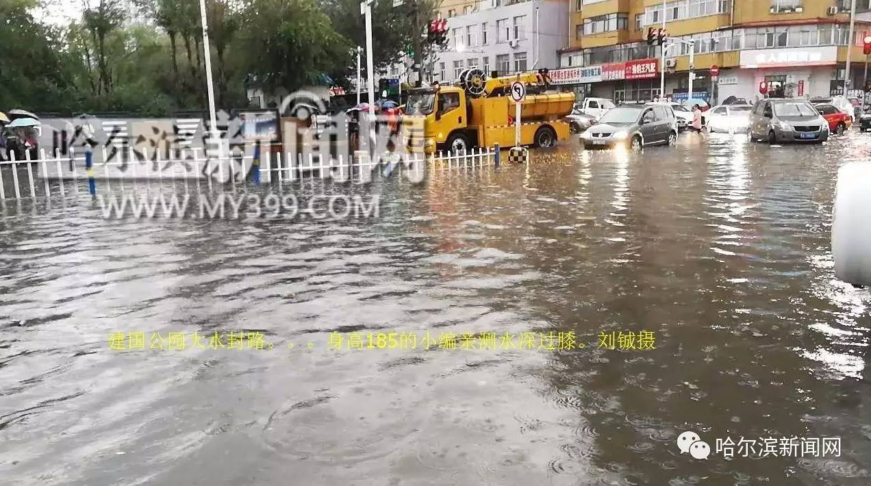 知道是大暴雨没想到大成这样!哈尔滨全城迎战今年头场