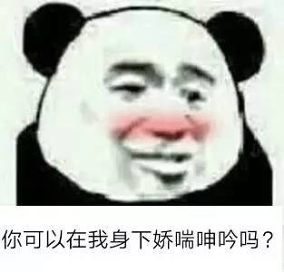 表情包:你可以在我身下吗?_搜狐搞笑_搜狐网