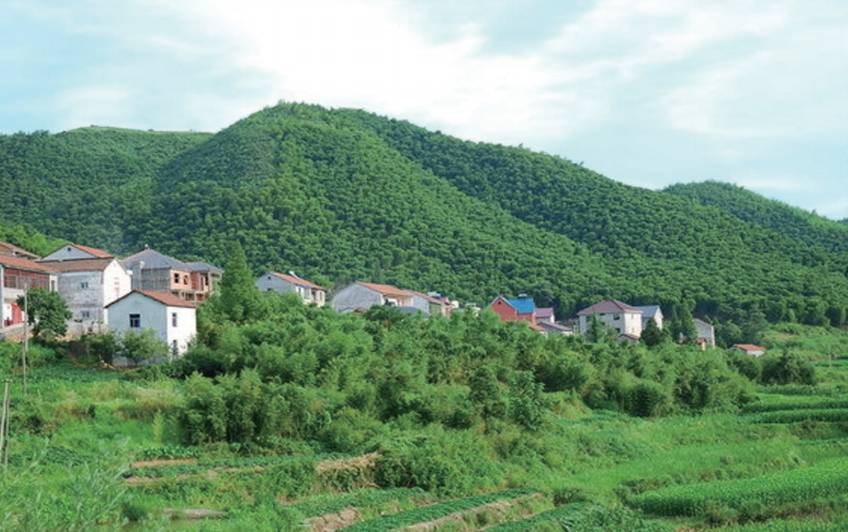 村庄概况仙岩村地处余杭区西北端,位于百丈镇西南角,东与泗溪村,溪口