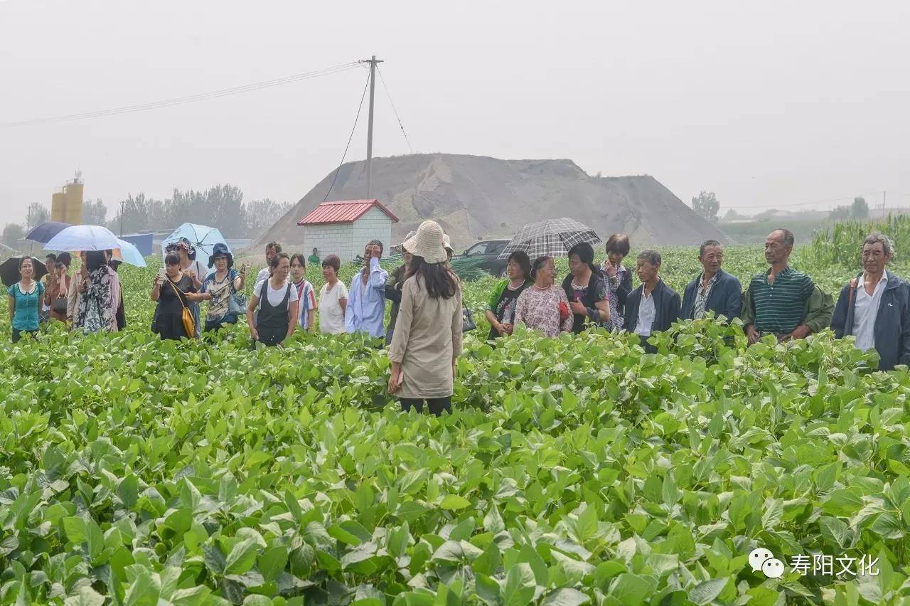 生态农业,成为广大市民体验之地