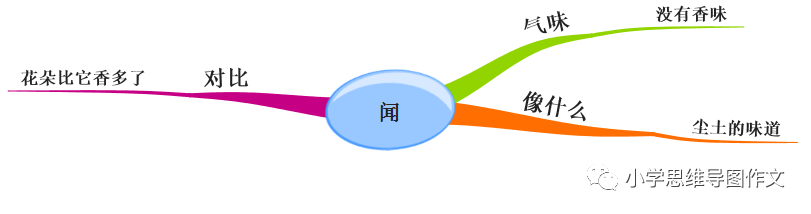 思维导图学语文,掌握五感作文法