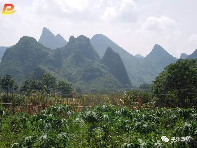 旅游 正文  雪峰农庄地处平乐县张家镇砖板寨村,距张家镇2公里,平乐