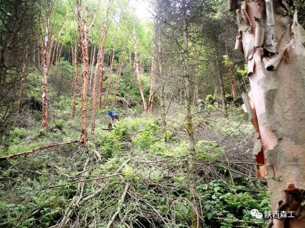 高山流水猎人魂五线曲谱(2)