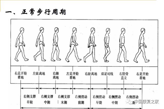 银泰集团董事长的夫人