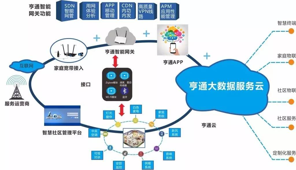 重庆家庭人口信息平台_重庆人口热力图(3)