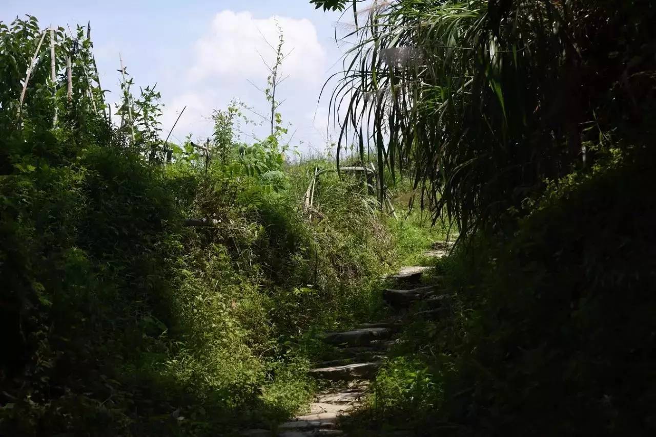 宜春天台镇人口有多少_宜春袁州区天台镇第五届人民代表大会第三次会议胜利(3)