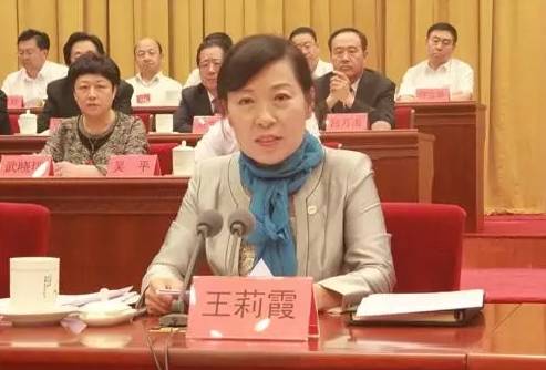 内蒙古自治区党委常委,统战部长王莉霞出席会议并讲话