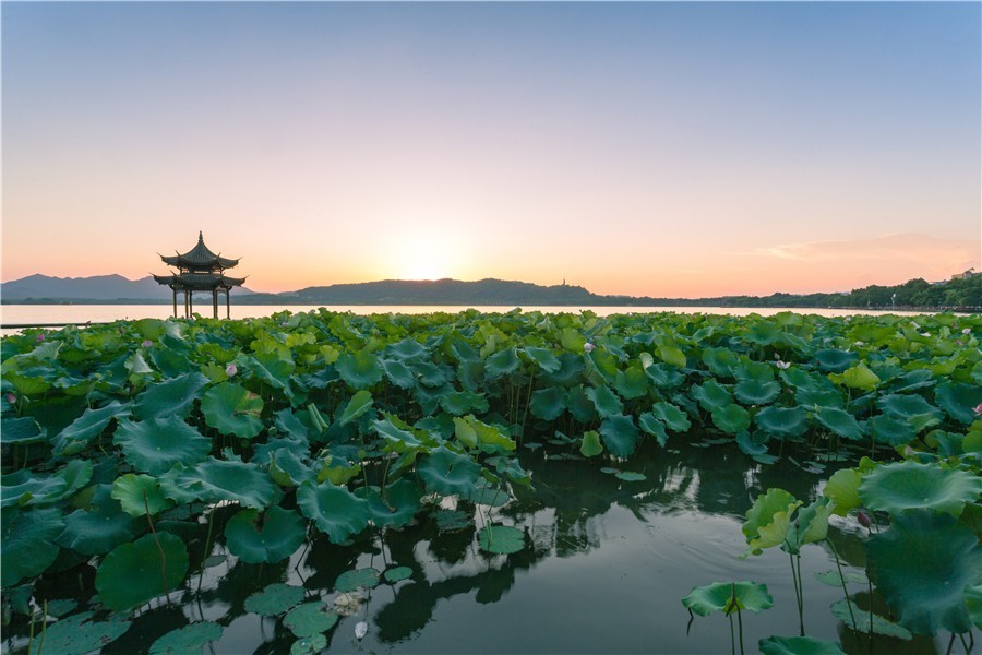 洪湖市有多少人口_洪湖市有特警图片(3)