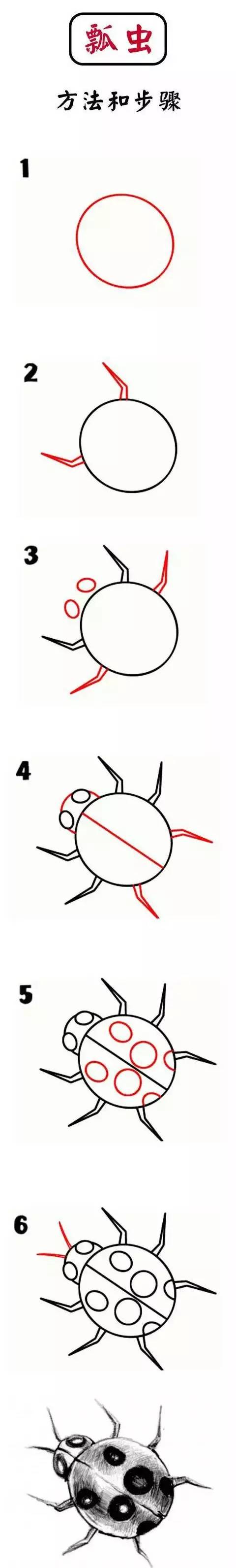 伴读一步步教你画小昆虫简笔画简单易学