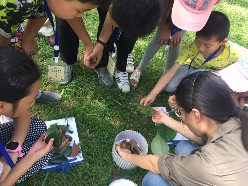 "植物王国行,快乐一日营"杭州植物园科普之旅