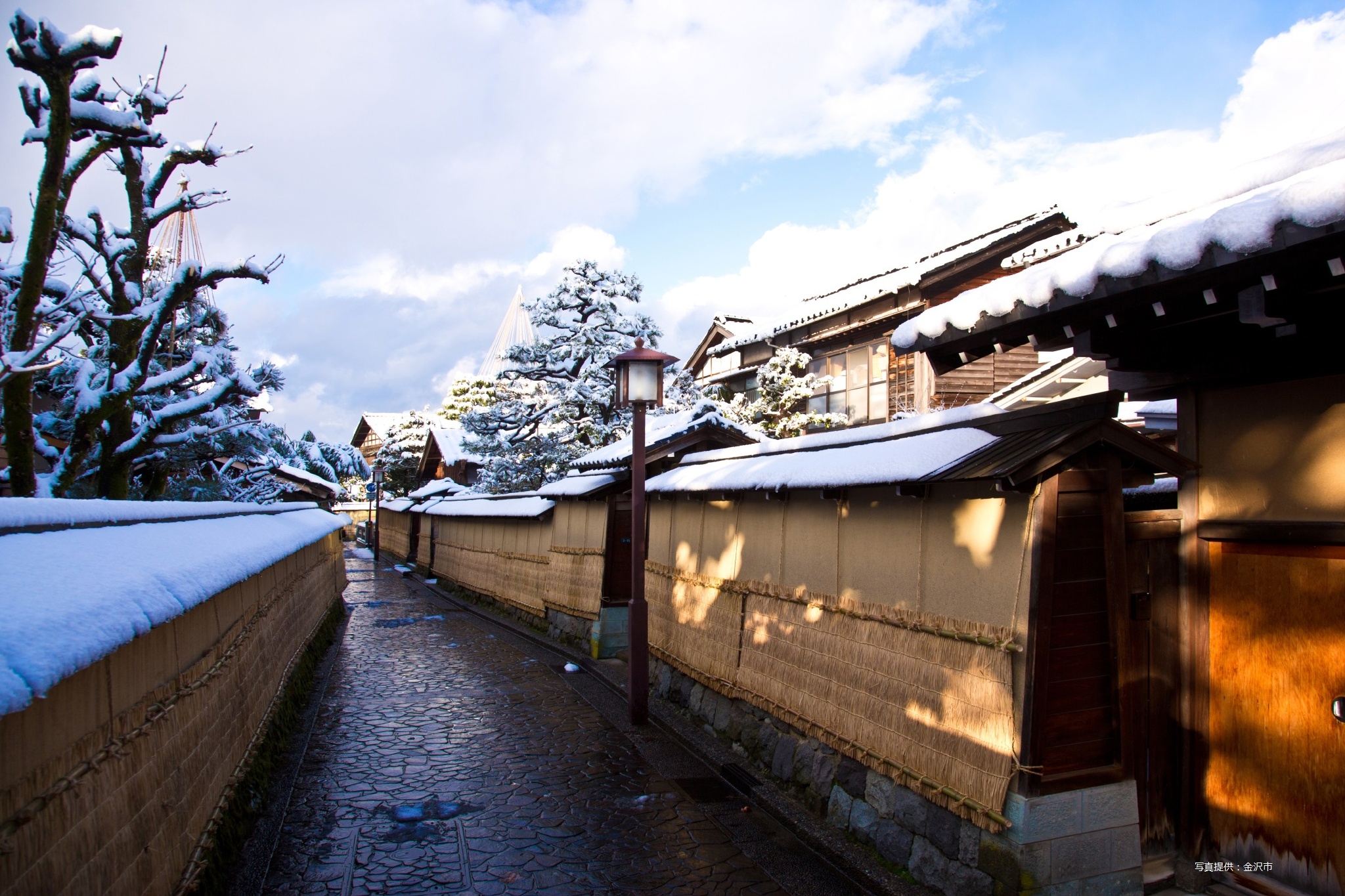 日本大学介绍日本金泽大学