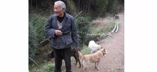 农村老猎人和他的狗狗