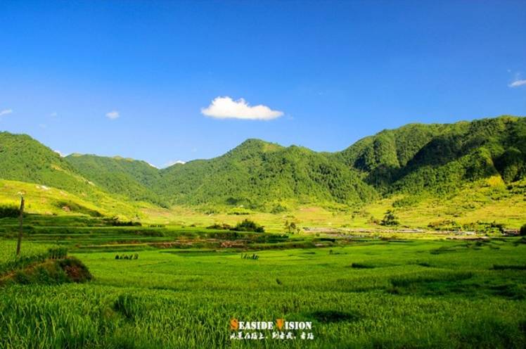 有一种旅行,叫夏天去草原!福建最美的草原都在这了!