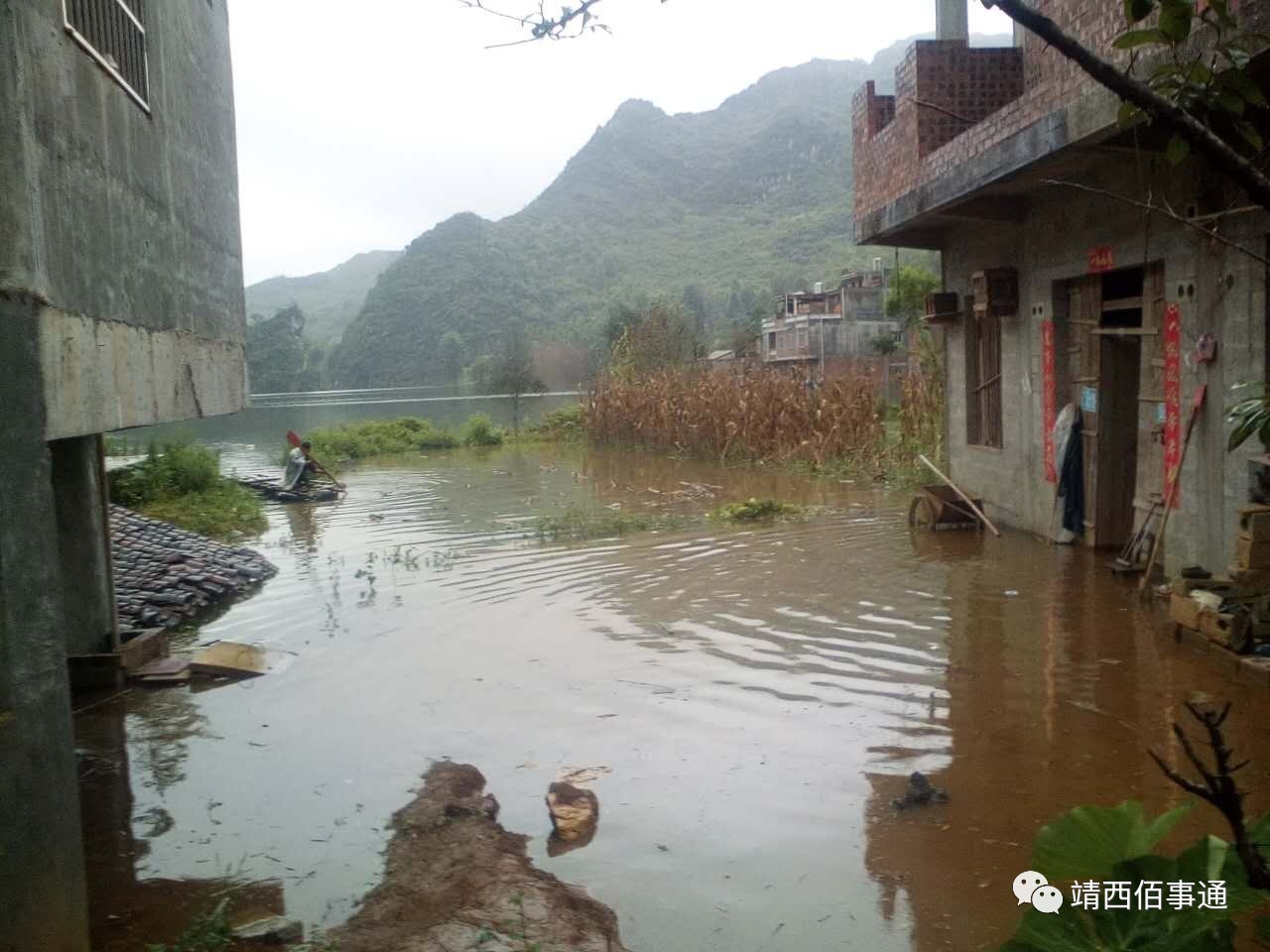 靖西持续降雨造成禄峒镇远猛村岜远屯一半住户被水淹!