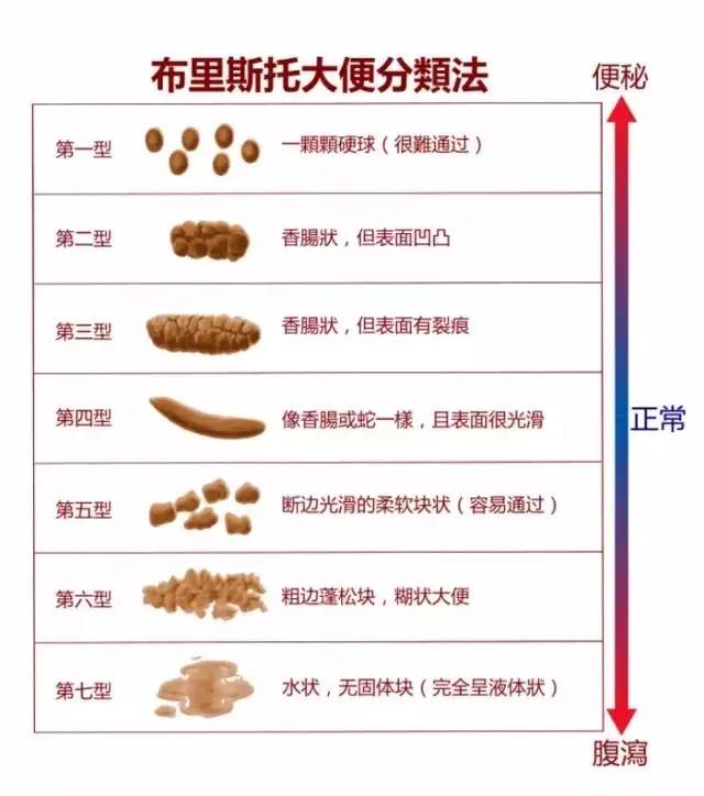 因为大便的形状和其待在大肠内的时间有关,所以可以用它来判断食物