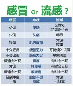 1997香港人口数量_香港人口祖籍