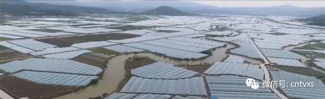 《学习党代会精神 建设浙江美丽南大门》大访谈三十一 | 沿浦镇:紧抓"