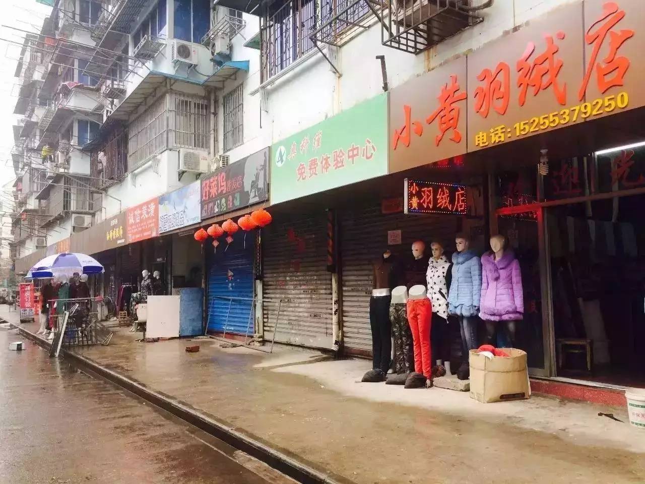 住在杨家巷,就是站在了食物链顶端