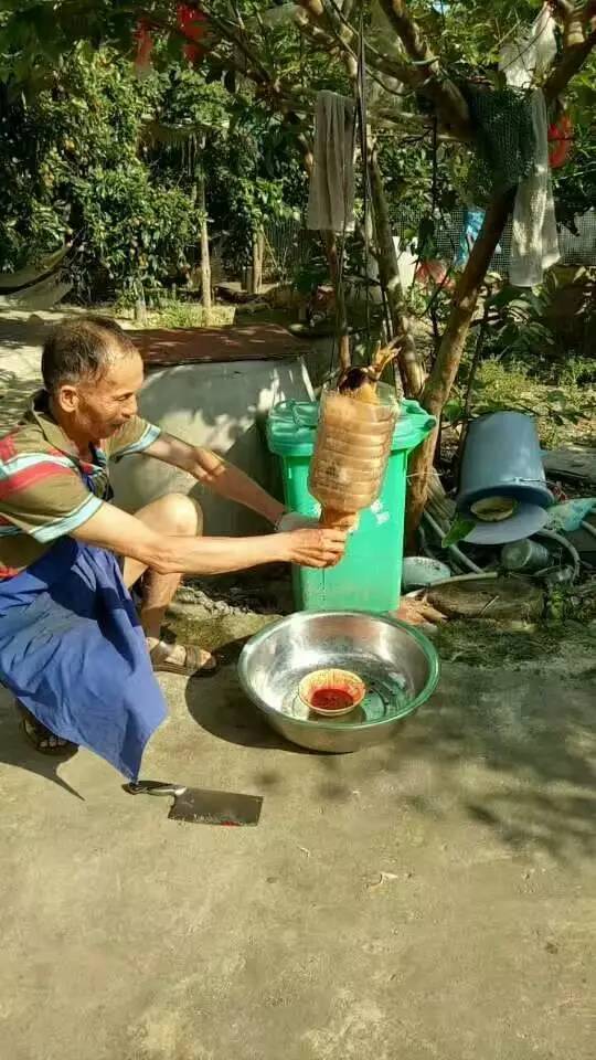 农村人又发明最牛杀鸡杀鸭神器