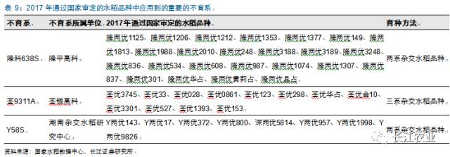 水稻育种的历史与未来抗性和米质升级为第四代水稻品种的突破口