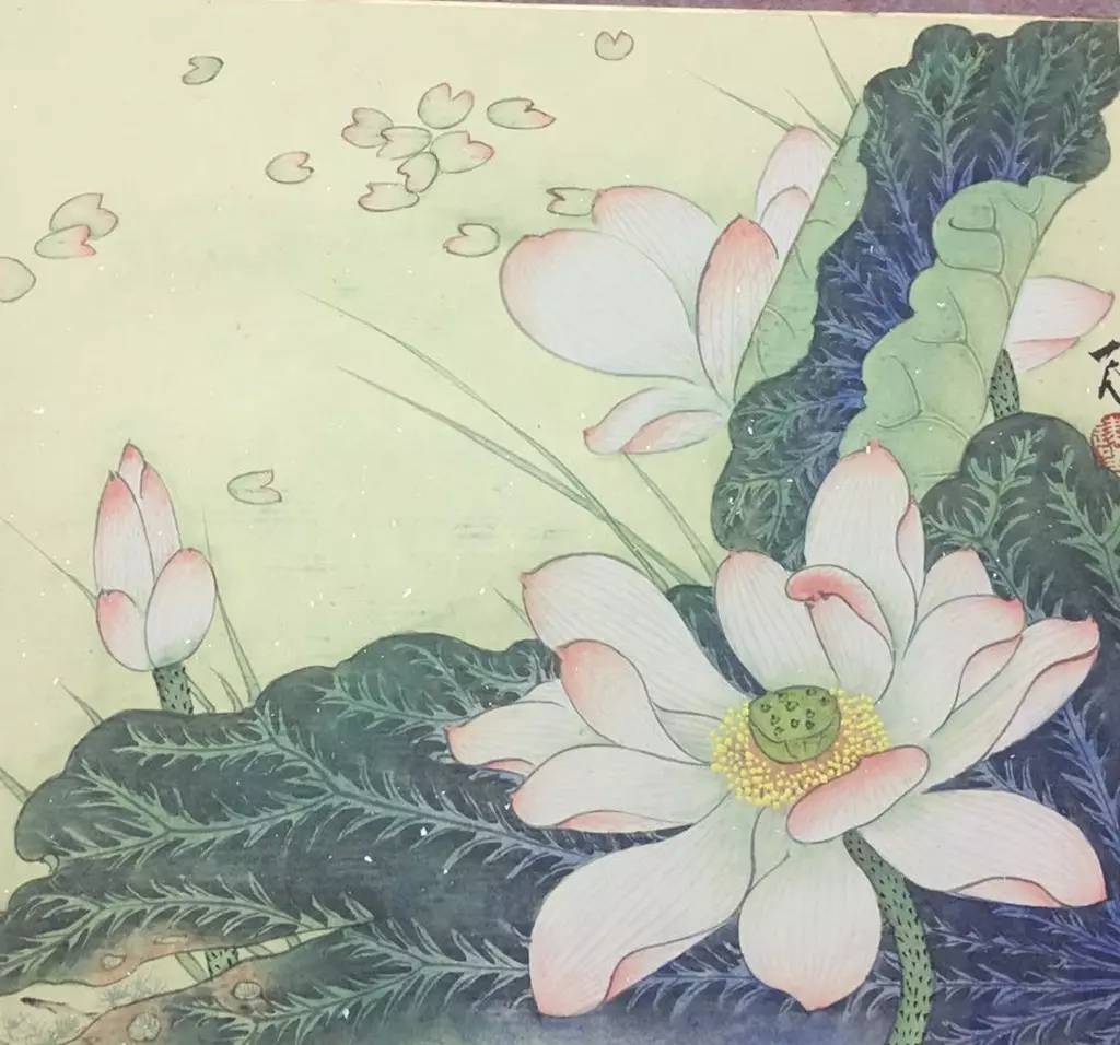 丁建国|工笔荷花作品欣赏