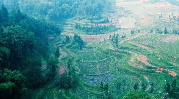 富顺县常住人口_富顺县地图(2)