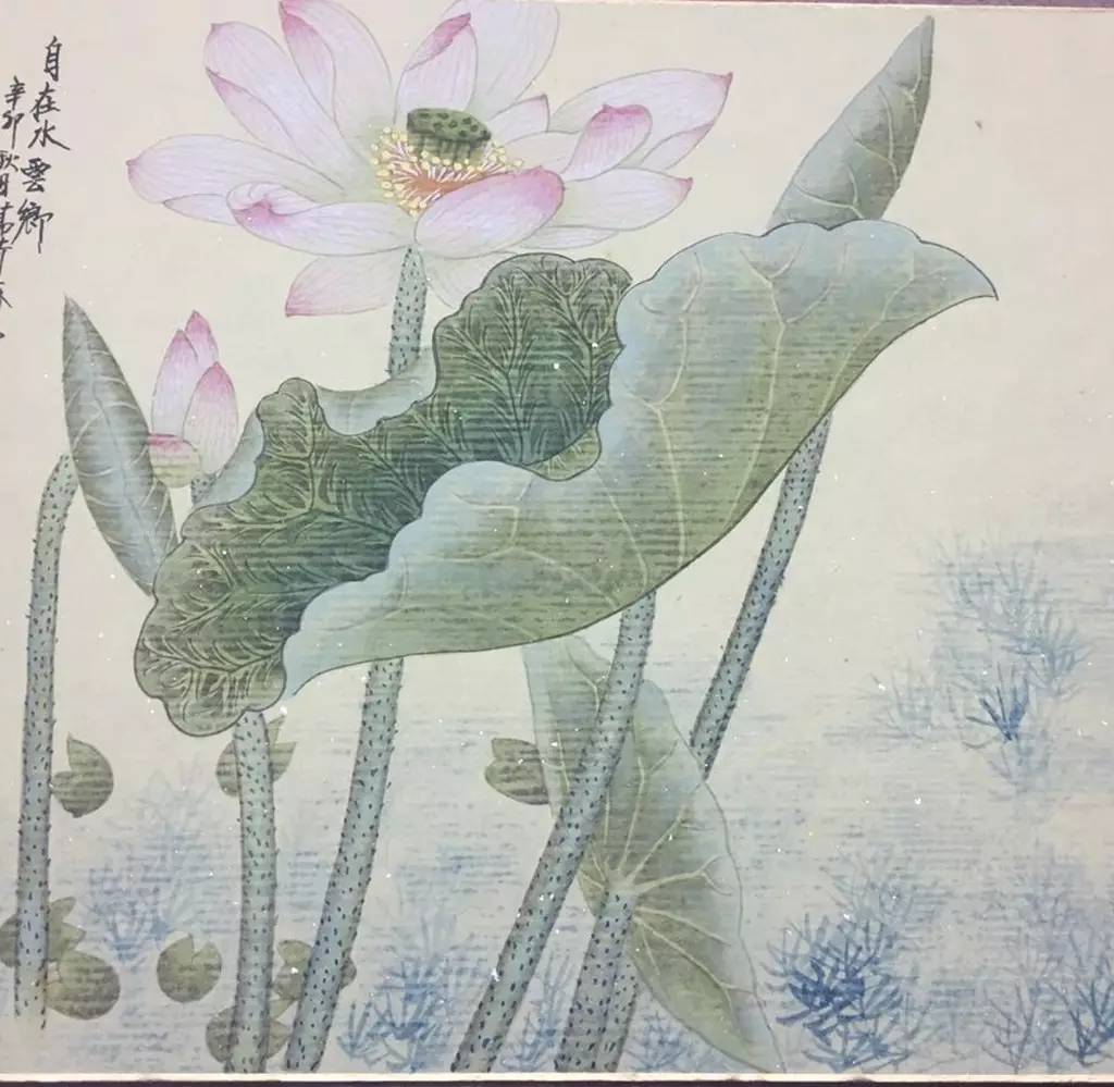 丁建国|工笔荷花作品欣赏