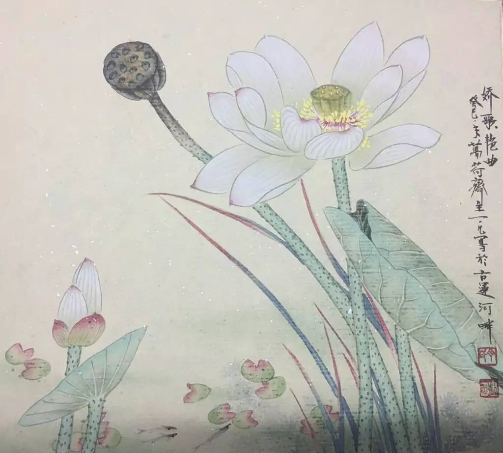 丁建国|工笔荷花作品欣赏