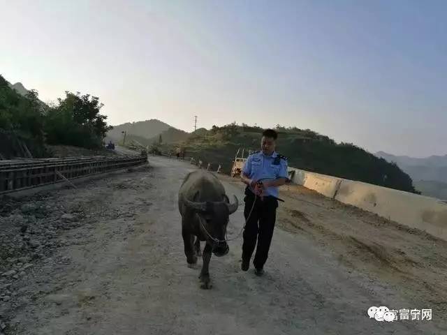 富宁县公安局110指挥中心电话,称有群众报警说在木央镇中寨村民委旁