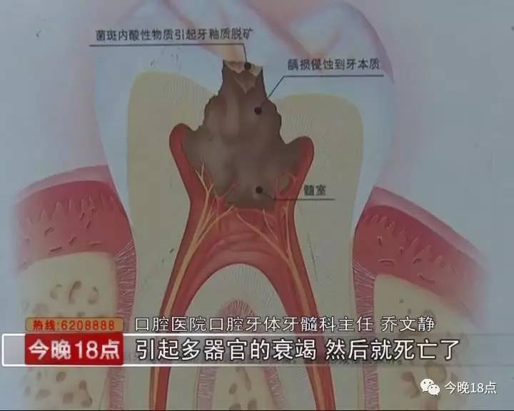 口腔医院口腔牙体牙髓科主任 乔文静