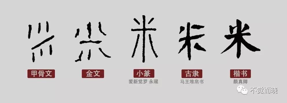 《说文》 在"粟"字演变过程中,你可能已经发现," 米"字也在"一点