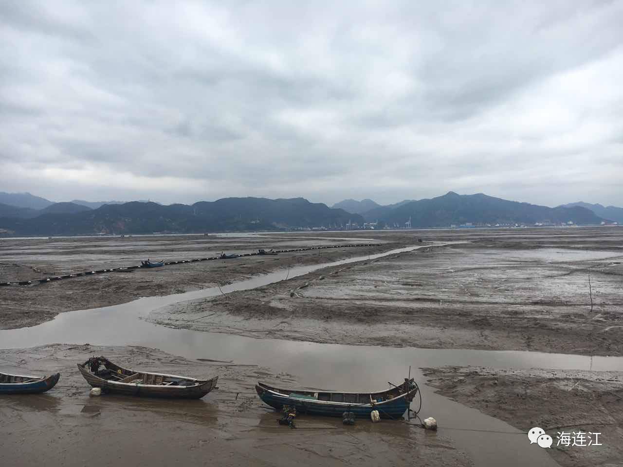 观荷赏景吃海鲜连江马鼻推出夏日套餐