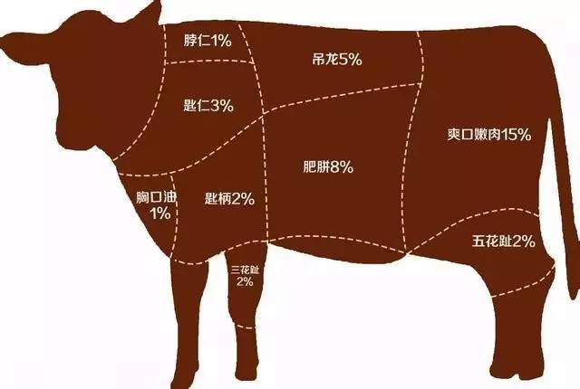 定制观察丨日本神户牛与中国潮汕牛的精密评测极品牛肉的前世与今生