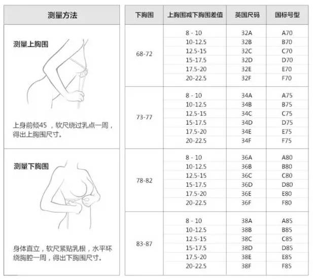 量内衣尺寸_内衣尺寸(2)