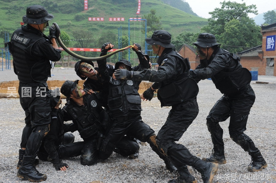 实拍特警训练中抓蛇生吸蛇血,练就野外生存技能