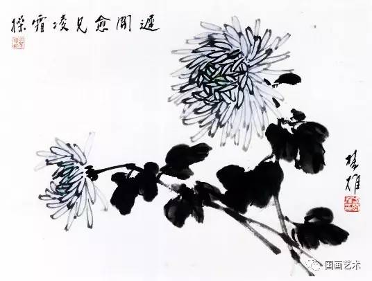 方楚雄教学示范:菊