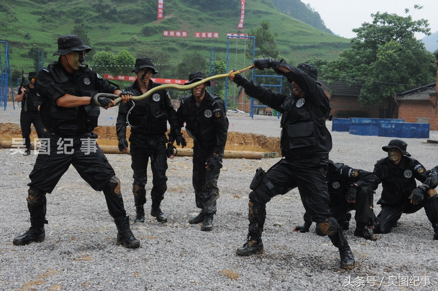 实拍特警训练中抓蛇生吸蛇血,练就野外生存技能