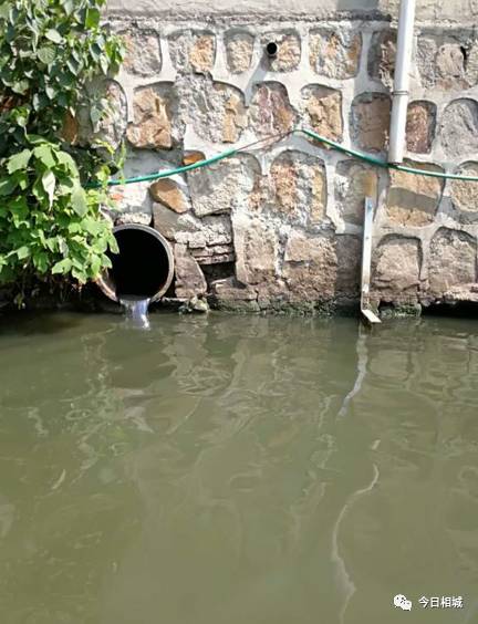 能 发现河南岸一工棚住宿区的岸边 存在 一个非常隐蔽的直排污水口