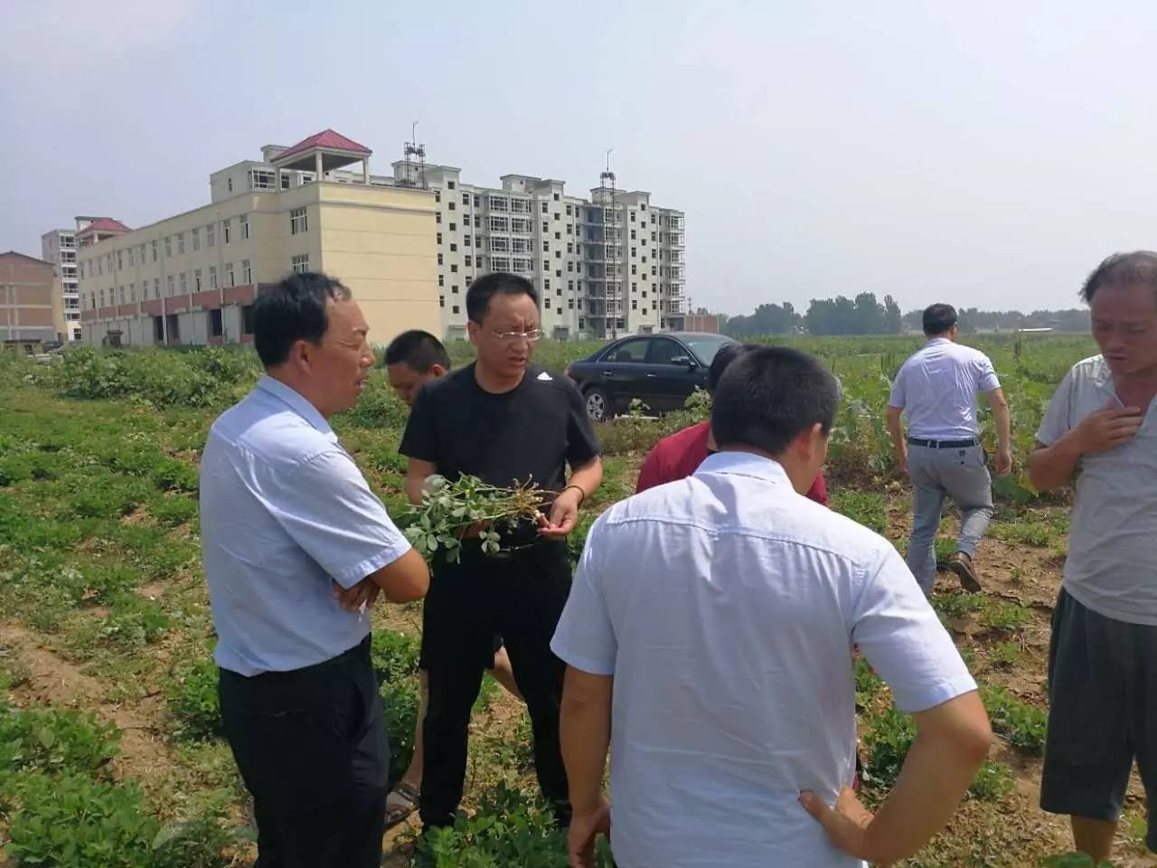 宜阳县白杨镇:引来好项目 种下新希望