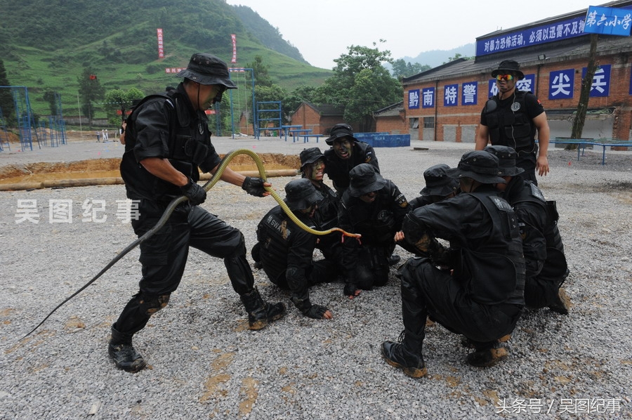 实拍特警训练中抓蛇生吸蛇血,练就野外生存技能