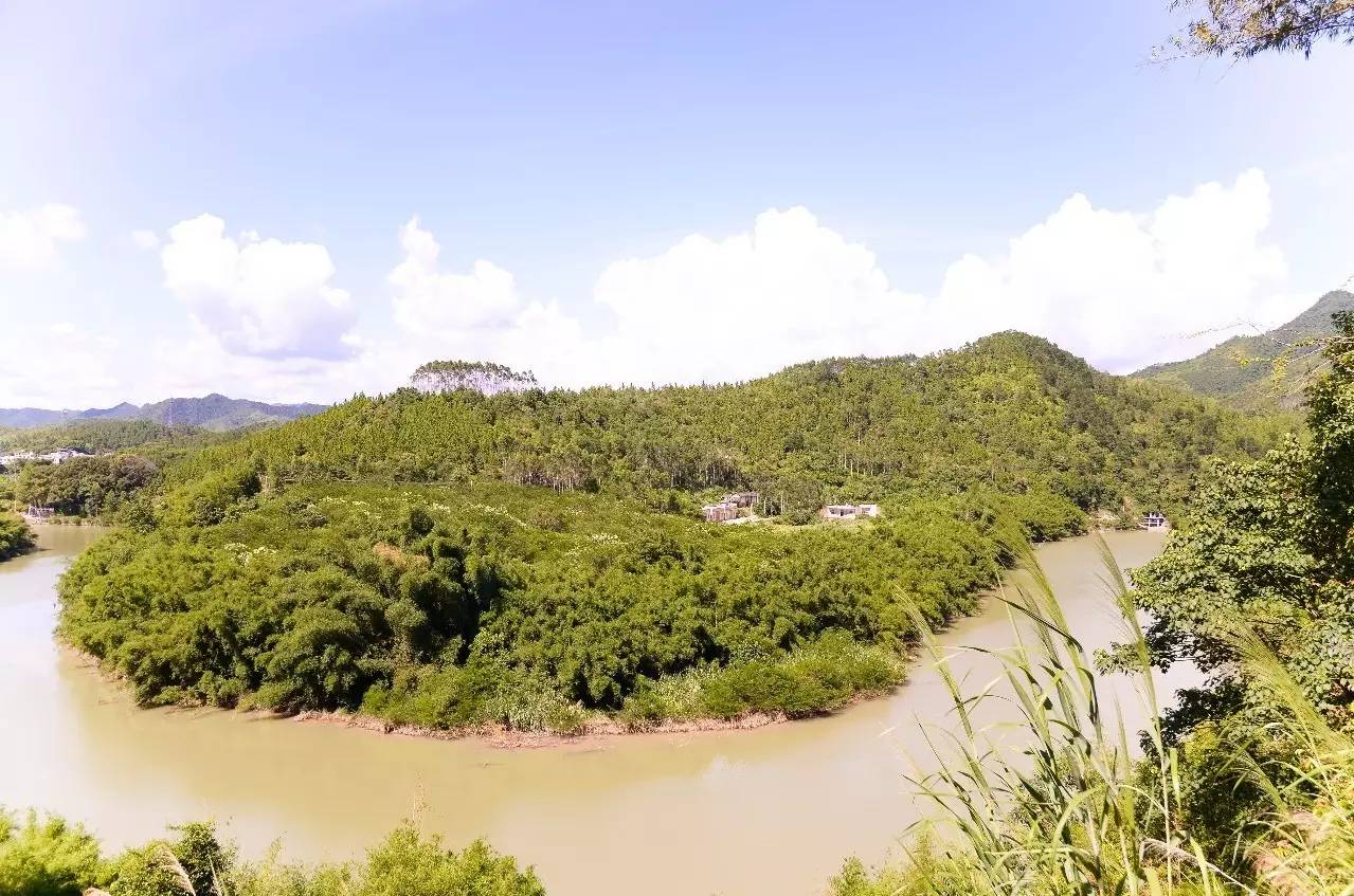 鹅公圩镇岸口村多少人口_钟山珊瑚镇金鹅村