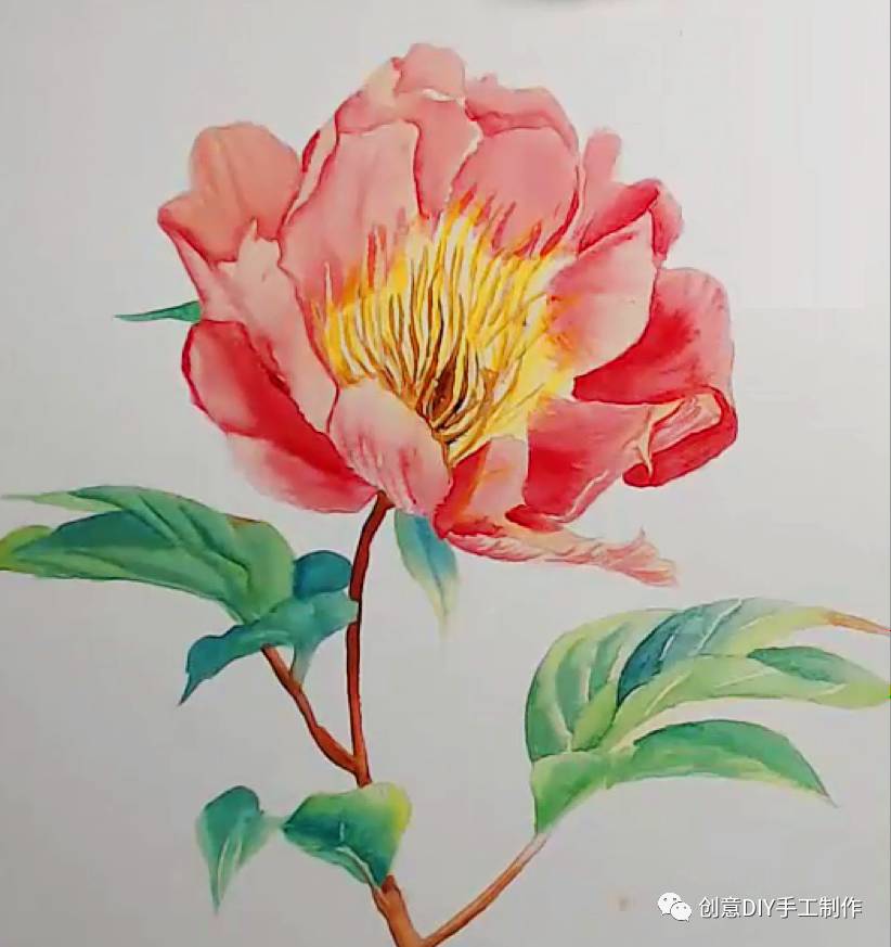 水彩小课堂|视频 图文 零基础画芍药