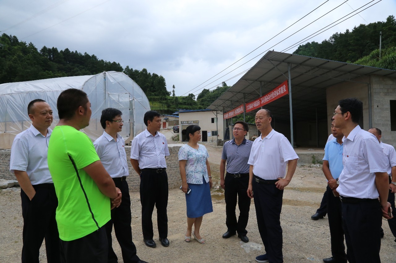 贵州省政协副主席左定超一行深入鱼酉村调研农村金融致富学校